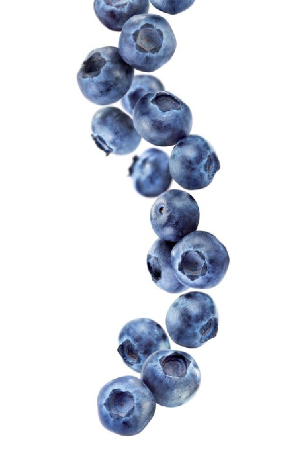 Routin sirop myrtille