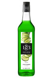 Routin sirop concombre