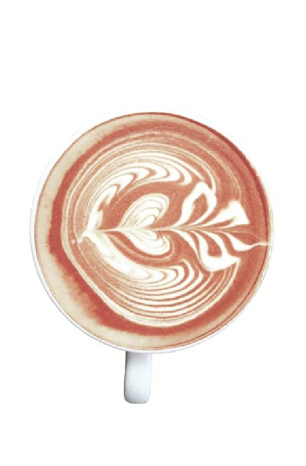 Superfood Guarana Cacao Latte poche 300g