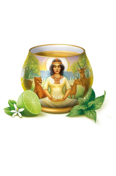 Infusion Menthe Citron vert sachet 17 x 1.8g BIO