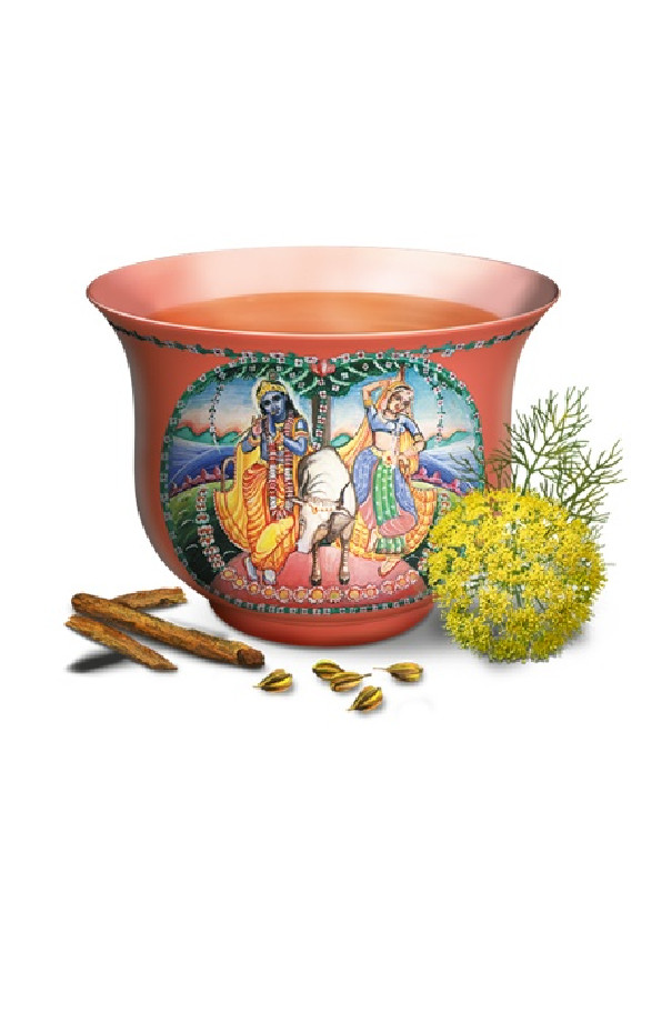 Infusion Chaï doux sachet 17 x 1.8g BIO Infusion Chaï doux sachet 17 x 1.8g BIO