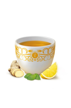 Infusion Gingembre Citron sachet 17 x 1.8g BIO