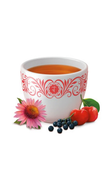 Infusion Défenses Naturelles  sachet 17 x 2g BIO
