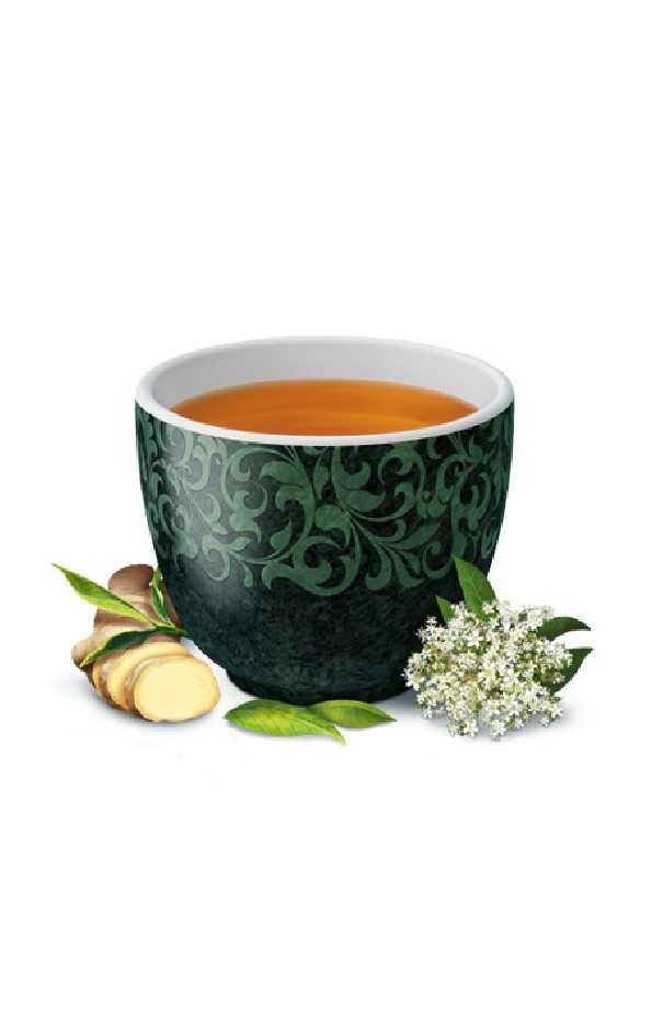 Infusion energie du Thé Vert  sachet 17 x 1.8g BIO