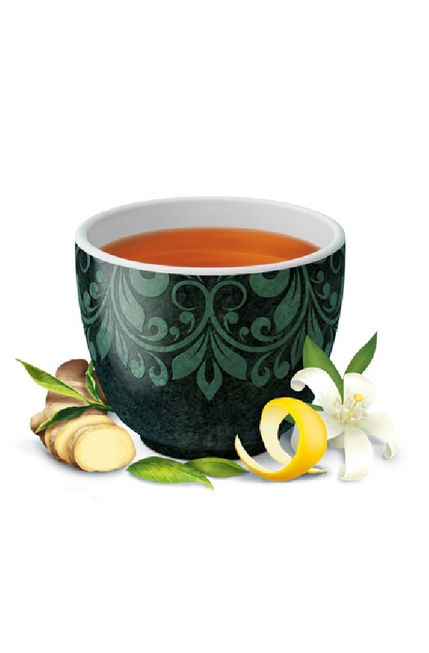 Infusion Thé Vert au Jasmin  sachet 17 x 1.8g BIO