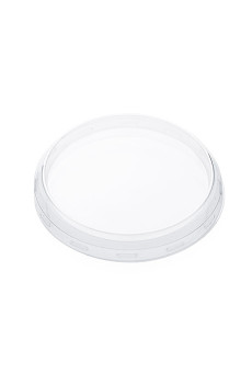 Weck couvercle PET ø100mm x24