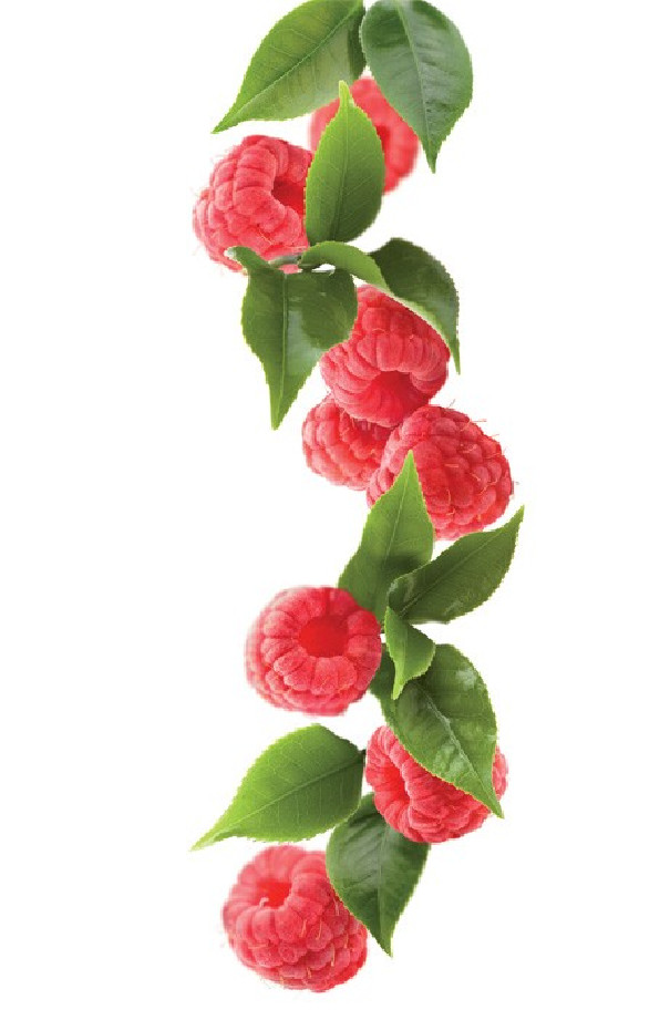 Routin sirop thé framboise