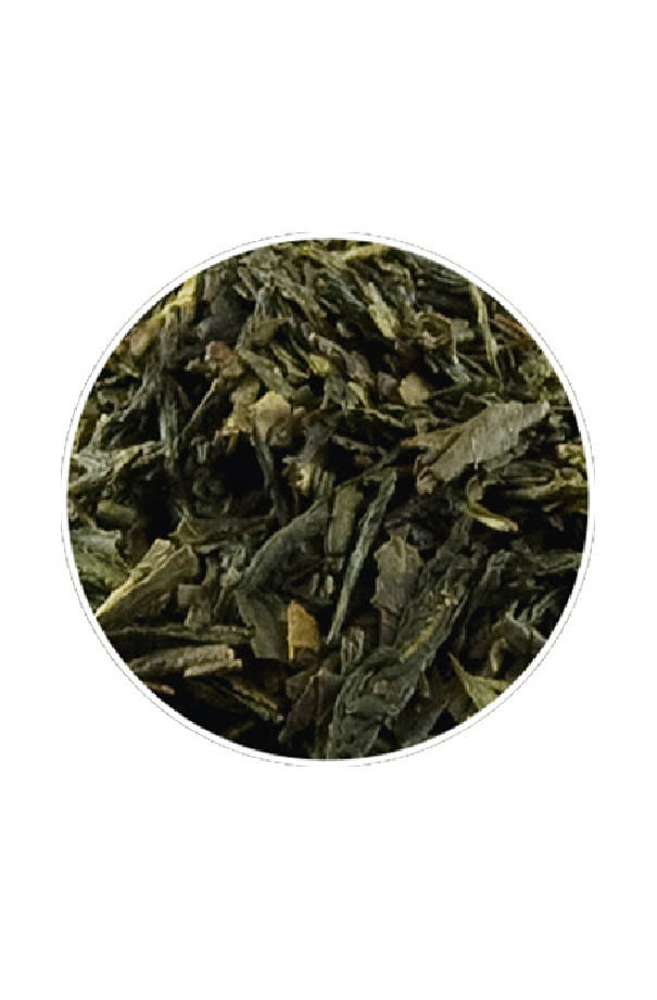 Thé vert Sencha sachet 15 x 3.5g
