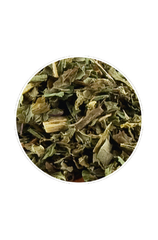 Infusion Peppermint sachet 15 x 3.5g Infusion Peppermint sachet 15 x 3.5g