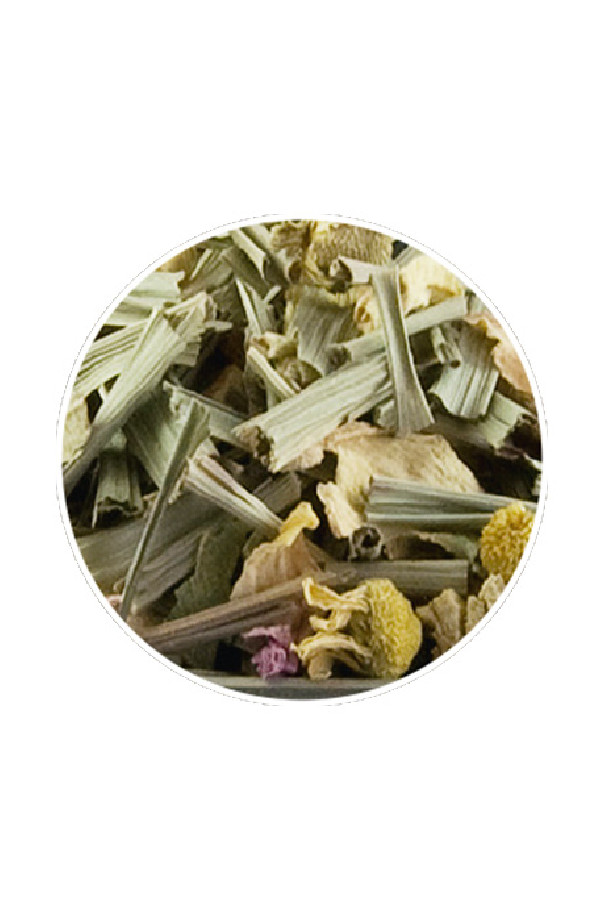 Infusion bien-être Strength (renforce) sachet 15 x 3.5g