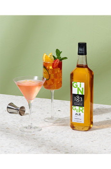 ROUTIN - SIROP SAVEUR GINGER ALE 1L BOUTEILLE VERRE