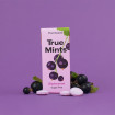 TRUE - PASTILLES CASSIS SANS SUCRES PRÉSENTOIR 13G x18