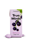 TRUE - PASTILLES CASSIS SANS SUCRES PRÉSENTOIR 13G x18