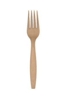 FOURCHETTE FIBRE DE CANNE A SUCRE x50