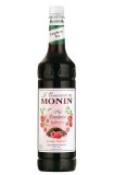 MONIN - CONCENTRE THE FRAMBOISE 1L BOUTEILLE PET