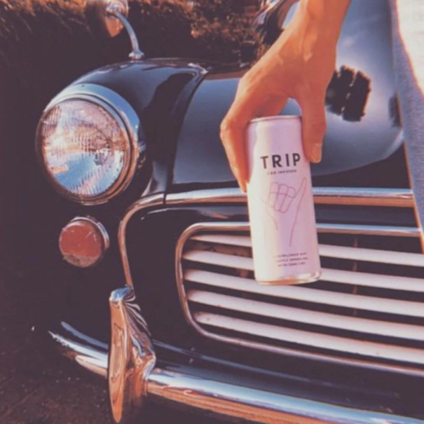 TRIP - EAU PETILLANTE SUREAU MENTHE INFUSION CBD CANETTE ALU 250ML x12