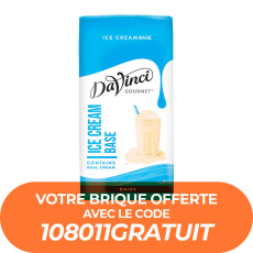 DAVINCI GOURMET - ICE CREAM BASE FRAPPE ET MILKSHAKE BRIQUE 1L ECHANTILLON x1