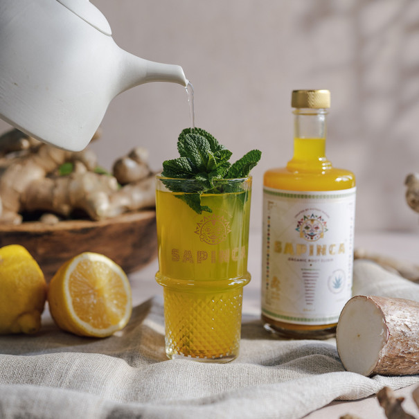 SAPINCA - ROOT ELIXIR GINGEMBRE ET EPICES BOUTEILLE VERRE 495ML BIO SAPINCA - ROOT ELIXIR GINGEMBRE ET EPICES BOUTEILLE VERRE 495ML BIO