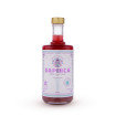 SAPINCA - FRUIT ELIXIR GINGEMBRE ET FRUITS BOUTEILLE VERRE 495ML BIO