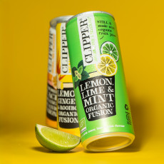 CLIPPER - INFUSION GLACE MENTHE CITRON CITRON VERT CANETTE 250ML x12 BIO
