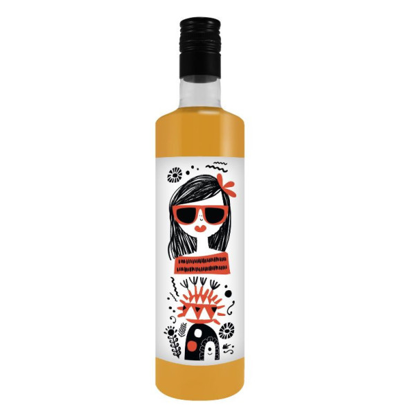 Fonte - Concentré turmeric bouteille plastique 750ml