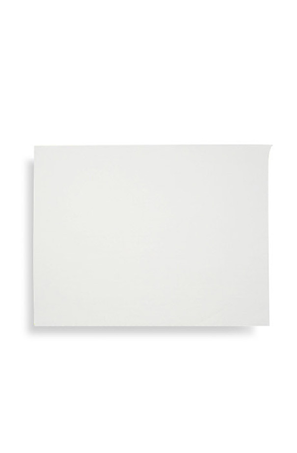 Papier ingraissable  blanc 30x30cm x800