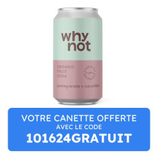 Why Not - Soda craft grenade concombre canette 330ml x12 bio
