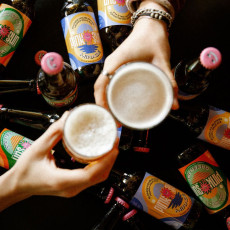 PINK SUN - GREEN RAY - WEST COAST IPA BIERE SANS ALCOOL 330ML x12
