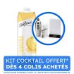 DAVINCI GOURMET - SMOOTHIE BANANE BRIQUE 1L