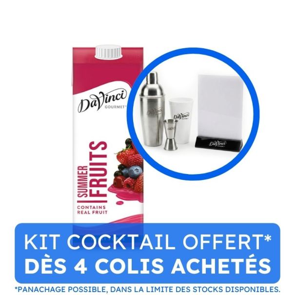 DAVINCI GOURMET - SMOOTHIE FRUITS ROUGES BRIQUE 1L