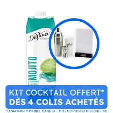 DAVINCI GOURMET - COCKTAIL MIX MOJITO CLASSIQUE BRIQUE 1L x10
