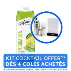 DAVINCI GOURMET - COCKTAIL MIX MARGARITA BRIQUE 1L x10