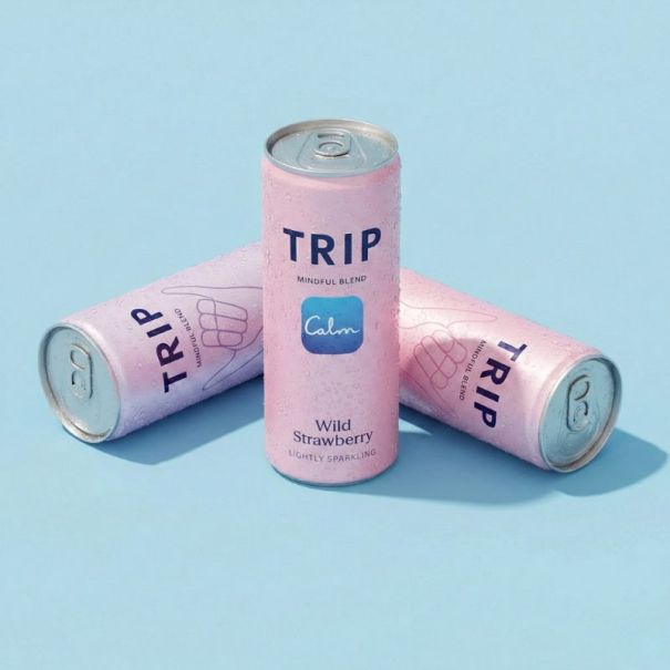 TRIP - EAU PETILLANTE FRAISE DES BOIS MINDFUL BLEND CANETTE ALU 330ML x12