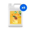 BOBOQ - SIROP ANANAS BIDON 2.5KG