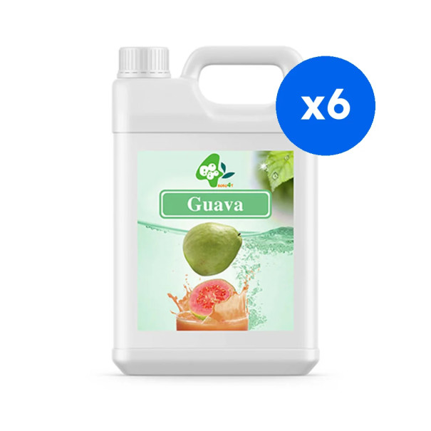 BOBOQ - SIROP GOYAVE BIDON 2.5KG