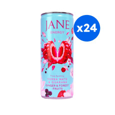 JANE - ENERGY BOISSON PETILLANTE GINGEMBRE FRUITS ROUGES CANETTE 250ML x24