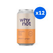 WHY NOT - SODA CRAFT PECHE GINGEMBRE CANETTE 330ML x12 BIO