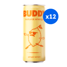 Buddy - Boisson focus pétillante citron gingembre canette 250ml x12 bio