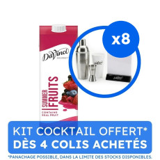 DAVINCI GOURMET - SMOOTHIE FRUITS ROUGES BRIQUE 1L