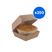 TAKE AWAY - BOITE KRAFT A BURGER MEDIUM x250