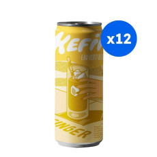 Eau Vertueuse - Kéfir gingembre curcuma bio canette 250ml x24 - Fournisseur Delidrinks