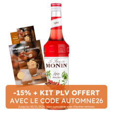 MONIN - SIROP SPICY 700ML BOUTEILLE VERRE