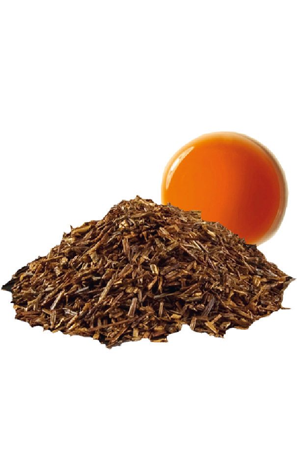 Luxury tea sachet recharge rooibos vanilla