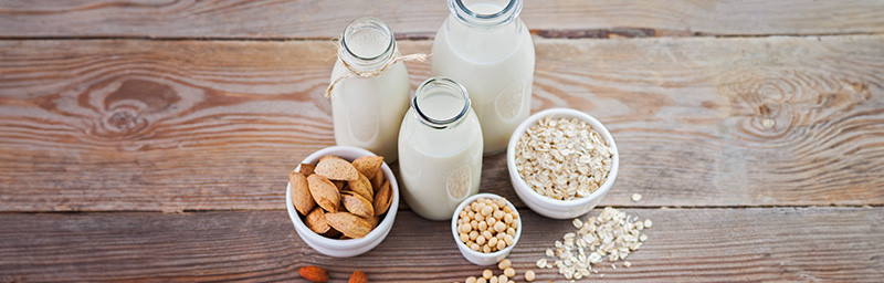 Image de l'entete de la page Lait et Laits végétaux
