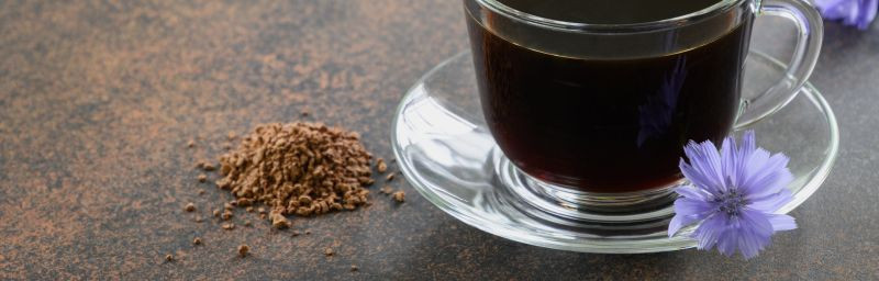 Image de l'entete de la page Alternatives au café