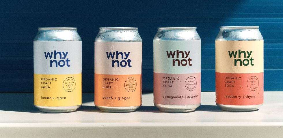 Why Not Soda : une alternative premium aux soft drinks traditionnels