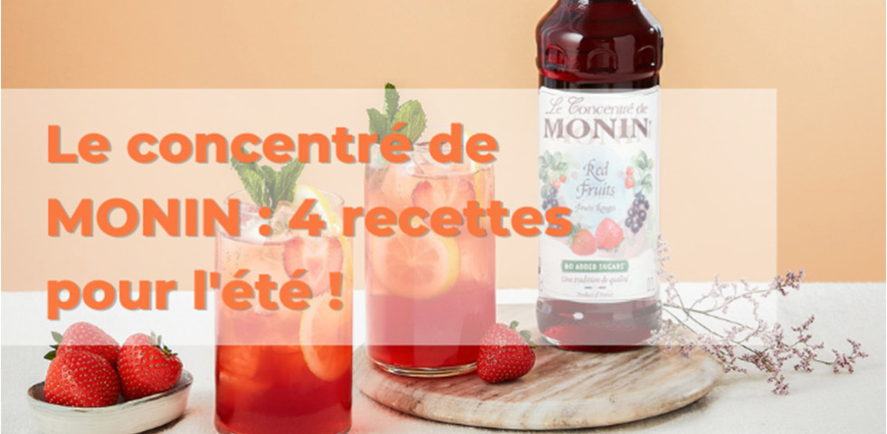 Le concentré de MONIN : 4 recettes pour l'été !