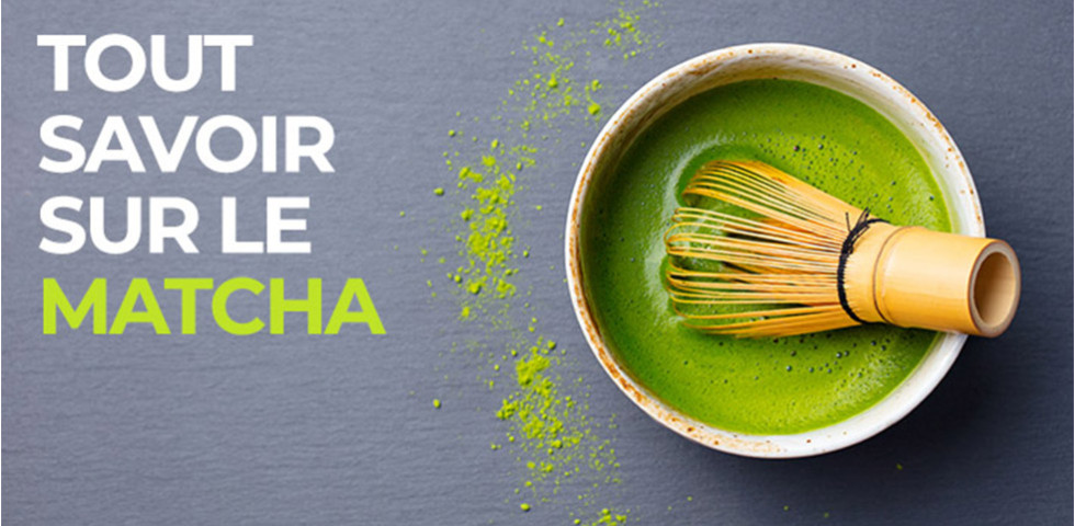 Tout savoir sur le Matcha